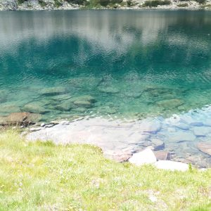 Providing data for 2019-2020 from hydrobiological monitoring of surface waters
